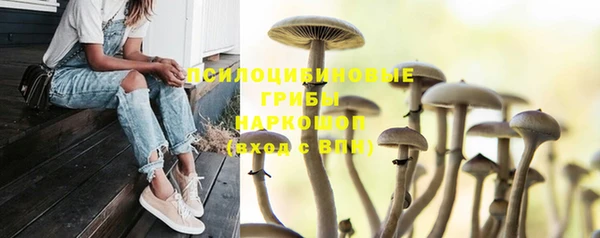 кокс Балабаново